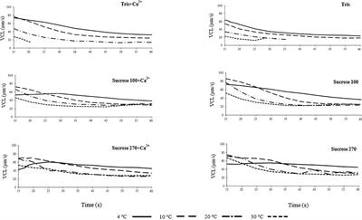 Relationship of Motility Activation to Lipid Composition, Protein Profile, and Swelling Rate of Burbot Lota lota Spermatozoon Following Change of Temperature and Osmolality